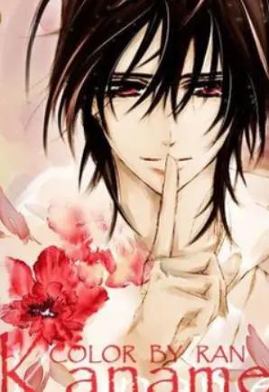 吸血鬼骑士结局：优姬给两个男主带绿帽？网友：毁经典