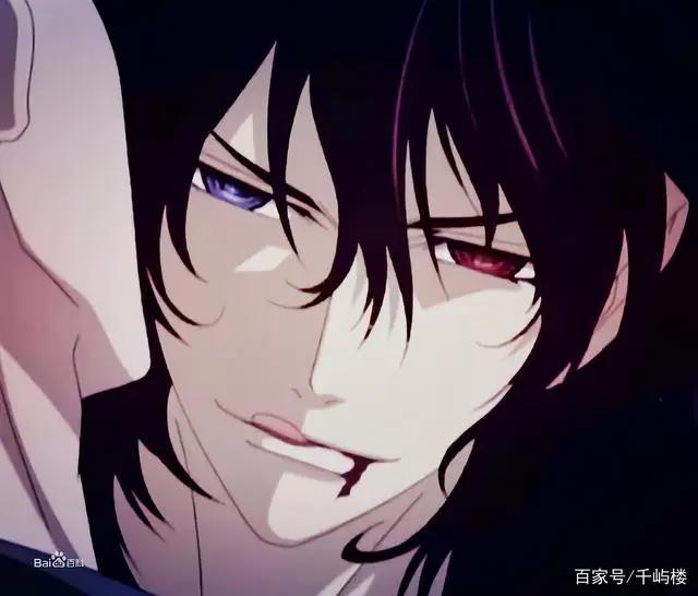 《吸血鬼骑士》1 2季