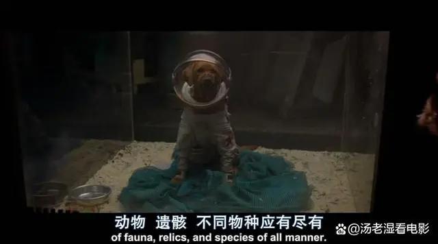 漫威在圣迭戈漫展上宣布的漫威未来电影新加入的角色以及演员汇总