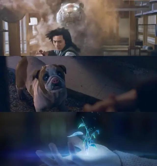 肖战《斗罗大陆》唐三，远离现实却贴近生活，魔法学院新生的故事