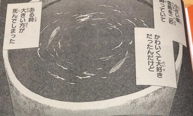 《死神》续作漫画正式更新，开头信息量爆炸，黑崎一护要领便当？