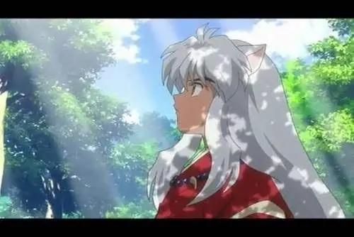 《犬夜叉》是一部穿越动漫，虽仅有二百集，但已成经典！