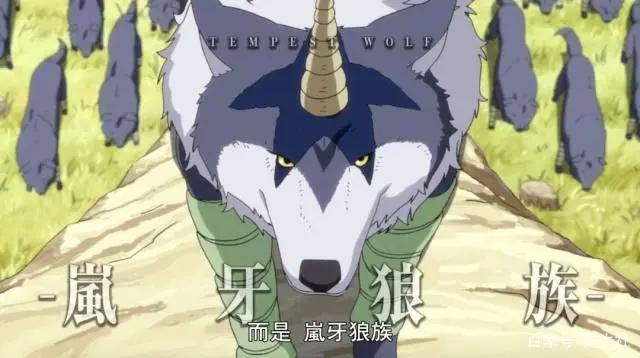 转生史莱姆：萌王麾下五大种族！都进化成了啥？