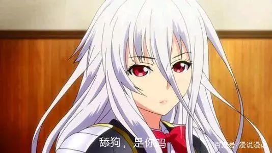 动漫:“舔狗”什么的真的没问题吗