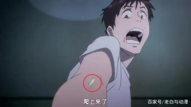 这部老番完结五年，不知你们现在还补吗？