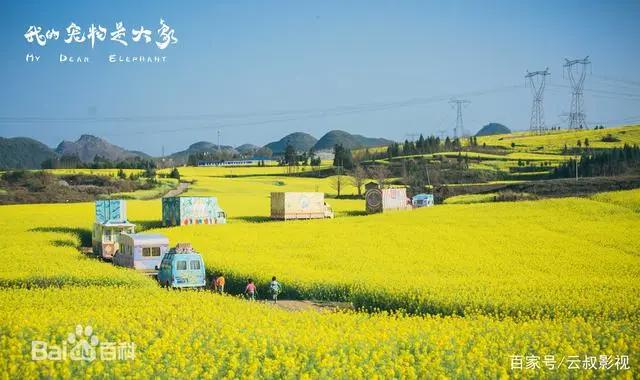 2019年四月内地电影市场全景分析，漫威还是？你更看好哪一部？
