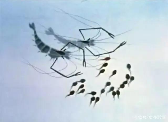 从《哪吒》看国漫的发展之路……