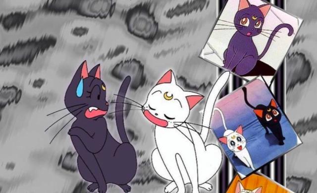 美少女战士中的露娜化形后好美，相貌不输月野兔