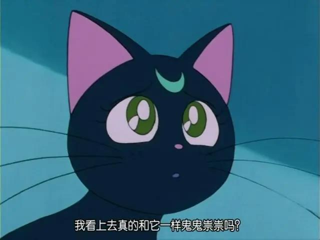 美少女战士中的露娜化形后好美，相貌不输月野兔