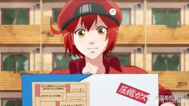 如何一句话形容你最爱的动漫？霓虹网友这波吐槽简直精准！