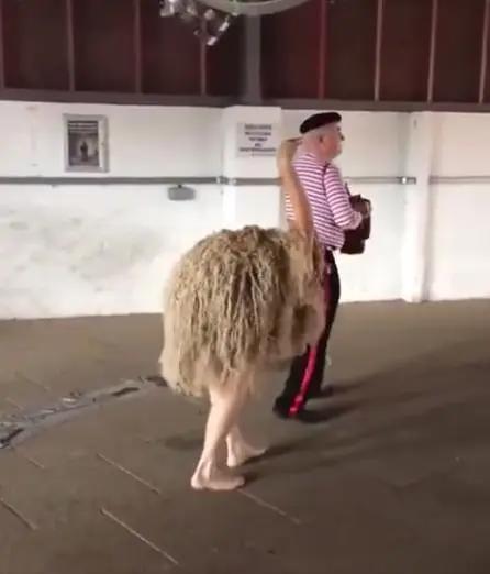 圣诞节要到了，外国人开启了神COS模式