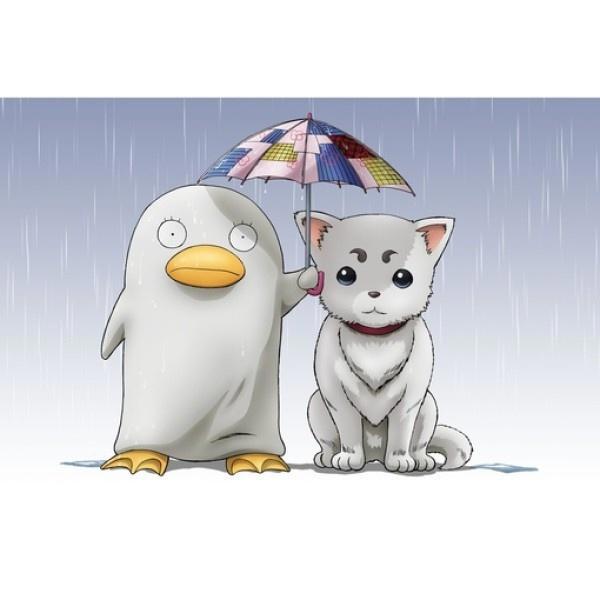 银魂：看这部动漫一定不要从第一集开始看！从第三集开始！