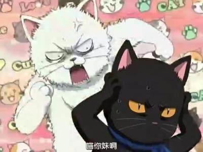 可能是《银魂》中最感人的几个瞬间