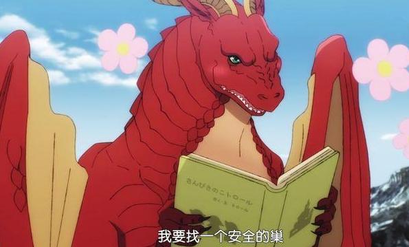 《龙先生，想要买个家》：还有比莱迪惨的吗？找个落脚地真不容易