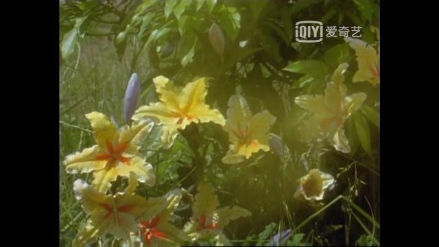 最全最细致的迪迦奥特曼编年史，超远古时代迪迦去了哪？（上）