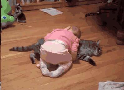 养猫和养狗区别有多大？5类对比图告诉你家孩子，简直不要太真实