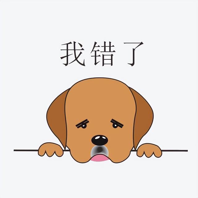 6点告诉你，“养猫”和“养狗”区别真的很大