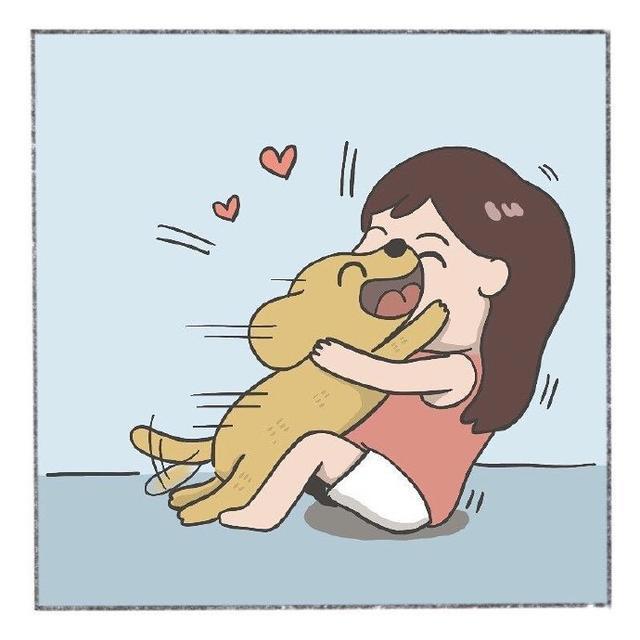 养猫人士与养狗人士的真实区别，乐翻天