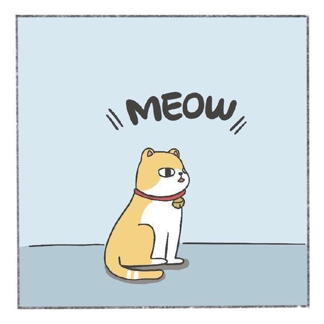 养猫人士与养狗人士的真实区别，乐翻天