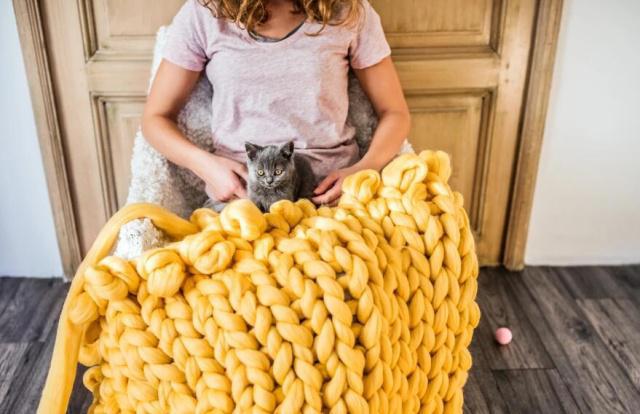 养猫的人VS养狗的人，看猫和狗是如何对待主人的