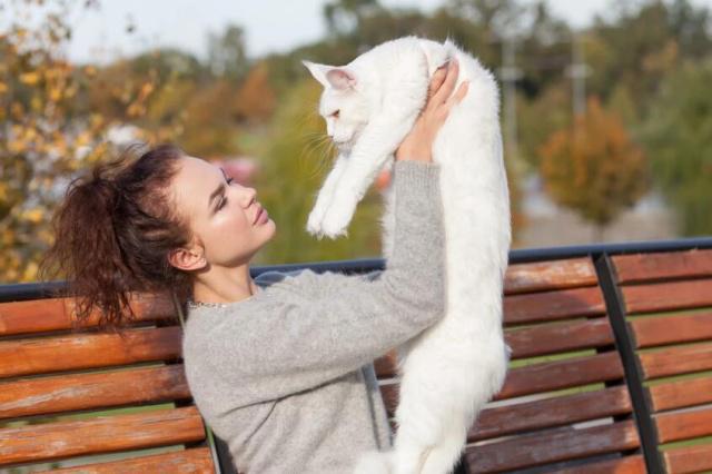 养猫的人VS养狗的人，看猫和狗是如何对待主人的