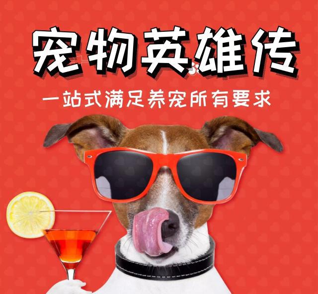 想要猫狗双全，先养狗的5个好处，让猫狗融洽相处