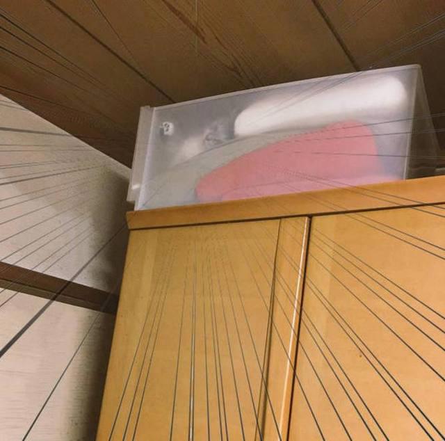 养猫与养狗的真正区别，每天一大半的时间花在找猫上，心累！