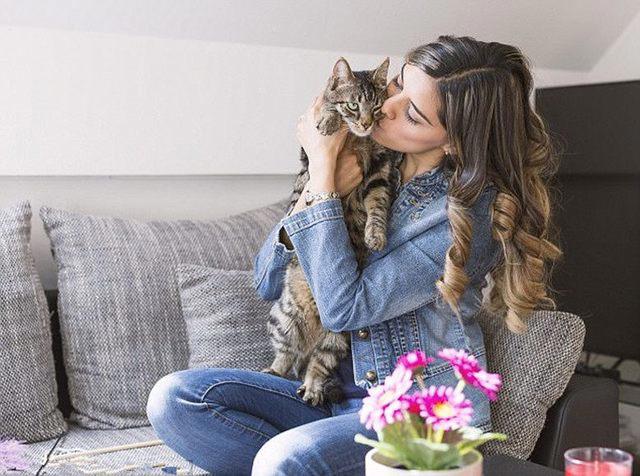 乐不乐意养猫养狗，说到底可能跟这个方面的原因有关