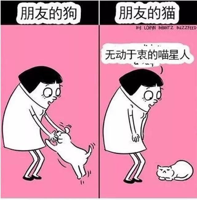 有一些瞬间，让人感觉养狗比养猫要好一些！