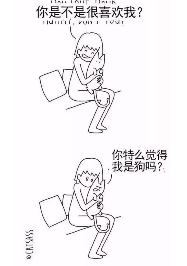 有一些瞬间，让人感觉养狗比养猫要好一些！
