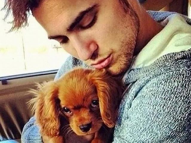 养猫的人渴望爱，养狗的人渴望被爱，“萌宠”知你心