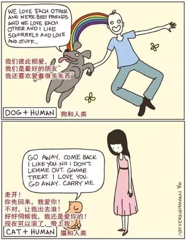 20张猫狗的行为对比图，养狗和养猫就像同一时空的不同故事线