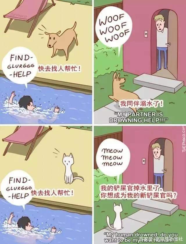 20张猫狗的行为对比图，养狗和养猫就像同一时空的不同故事线