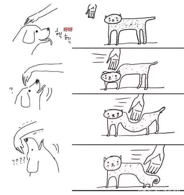 20张猫狗的行为对比图，养狗和养猫就像同一时空的不同故事线