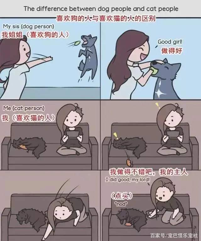 20张猫狗的行为对比图，养狗和养猫就像同一时空的不同故事线