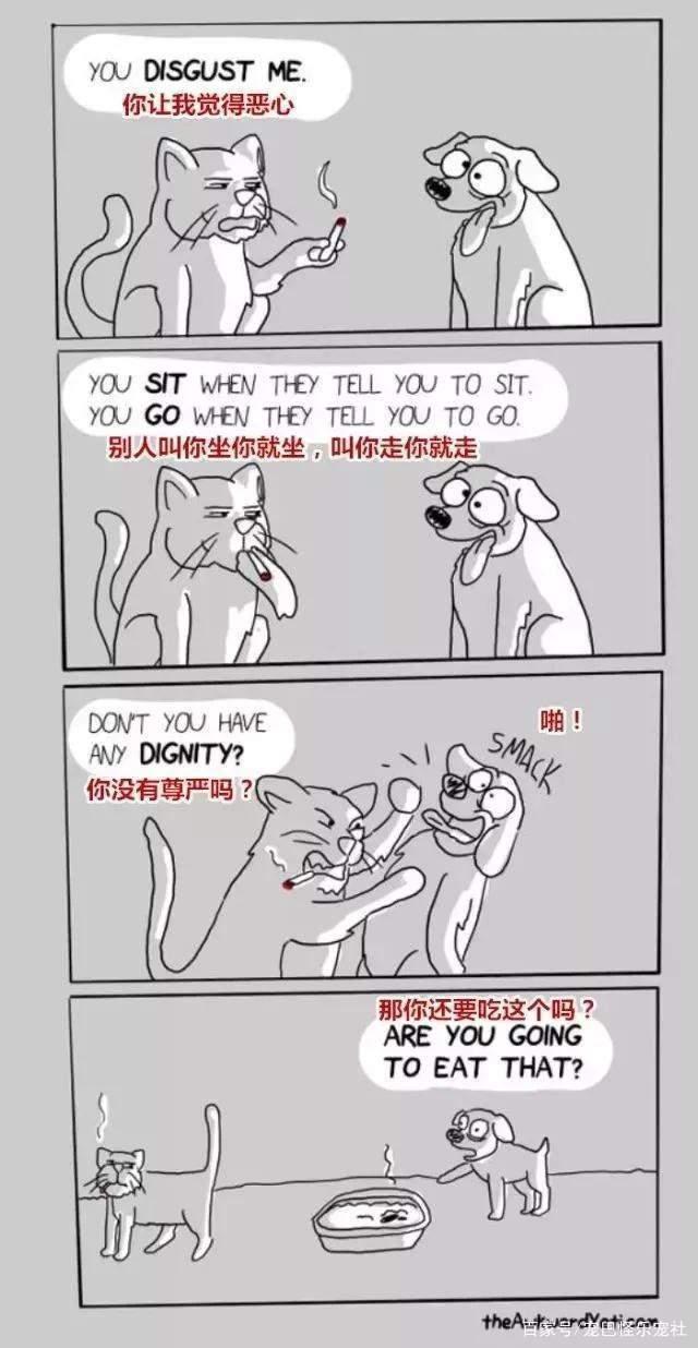 20张猫狗的行为对比图，养狗和养猫就像同一时空的不同故事线