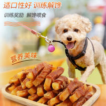 “养狗”和“养猫”，体验感是天差地别的