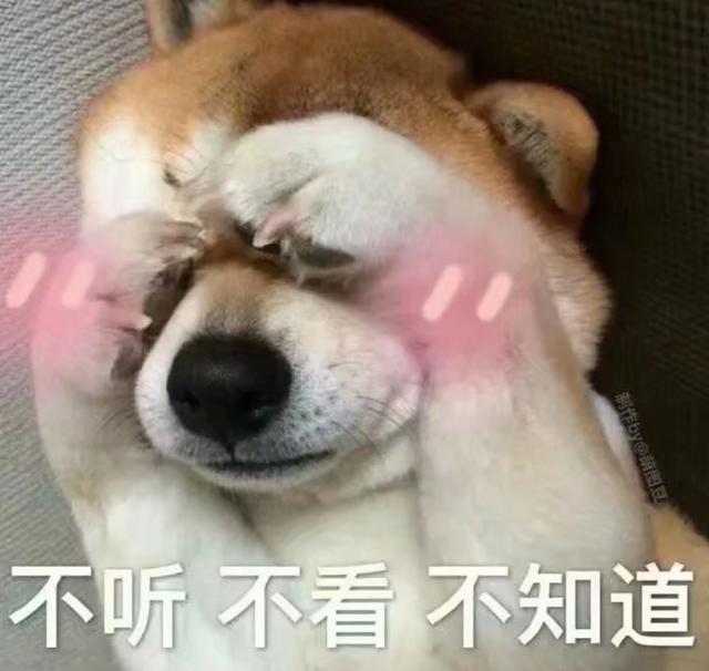 “养狗”和“养猫”，体验感是天差地别的