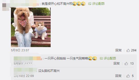 养猫又养狗是一种什么样的体验？评论区的人开始心疼狗子……