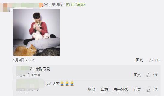 养猫又养狗是一种什么样的体验？评论区的人开始心疼狗子……