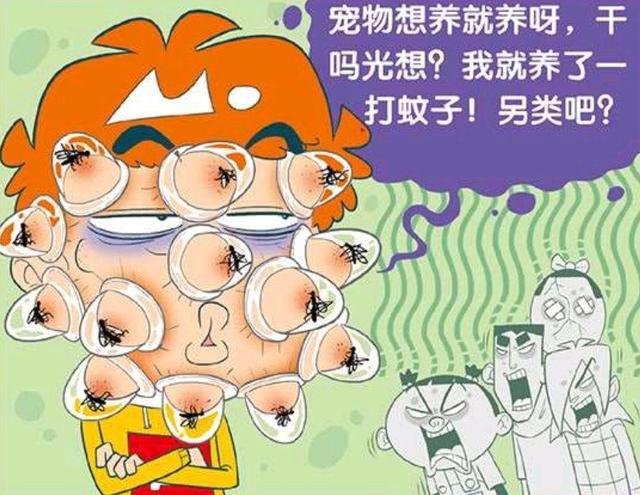 阿衰：小衰又出奇思妙想，别人养猫养狗，他用自己的脸养蚊子