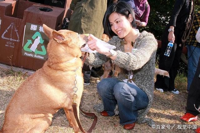 论养宠物的幸福感，养狗的要比养猫的铲屎官高两倍
