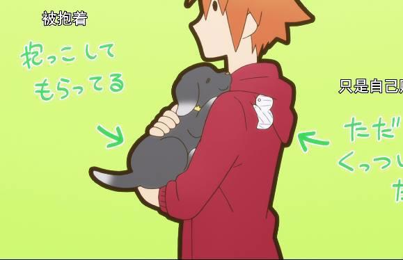 你见过这么萌的宠物吗？养猫养狗养蛇什么的都弱爆了