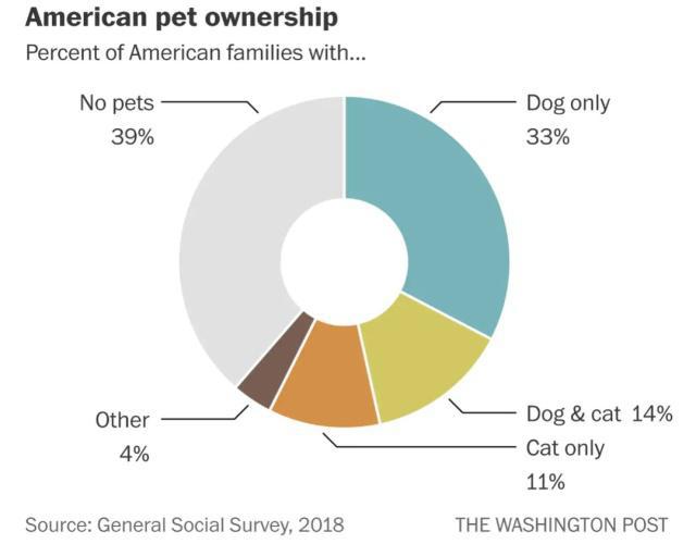 养狗和养猫，哪种让你更快乐？终于有答案了！
