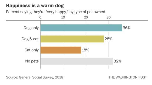 养狗和养猫，哪种让你更快乐？终于有答案了！