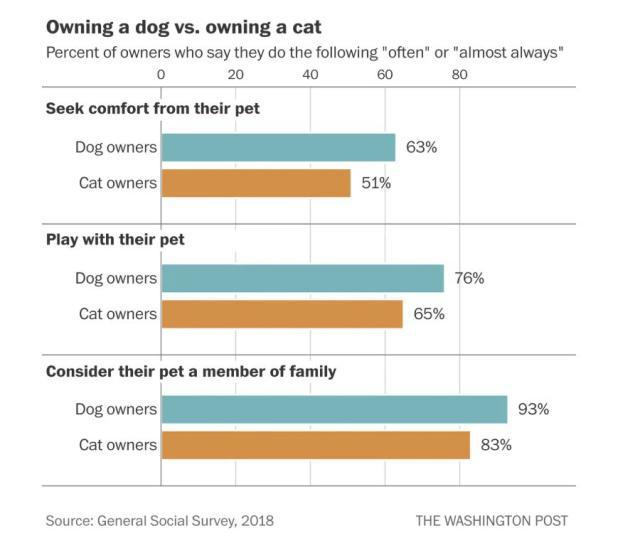 养狗和养猫，哪种让你更快乐？终于有答案了！