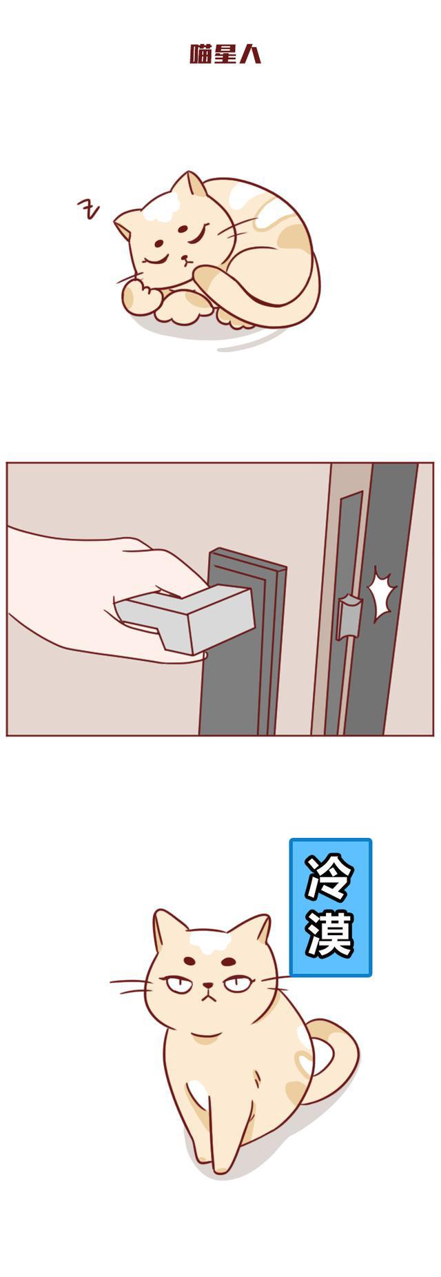 超可爱的漫画：养狗vs养猫，差别太大，已笑喷！