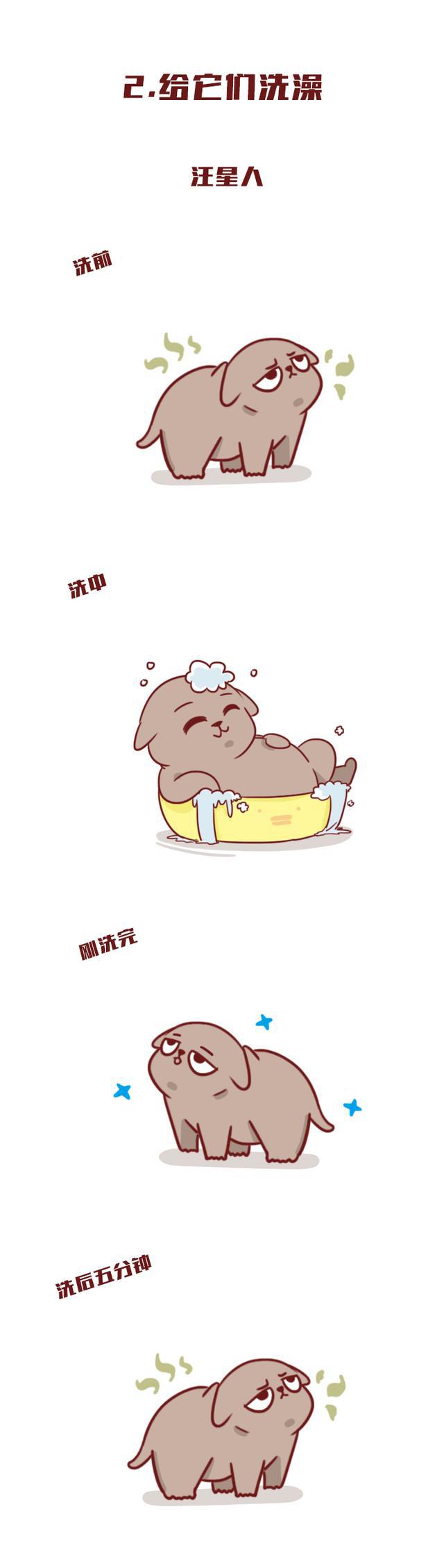 超可爱的漫画：养狗vs养猫，差别太大，已笑喷！