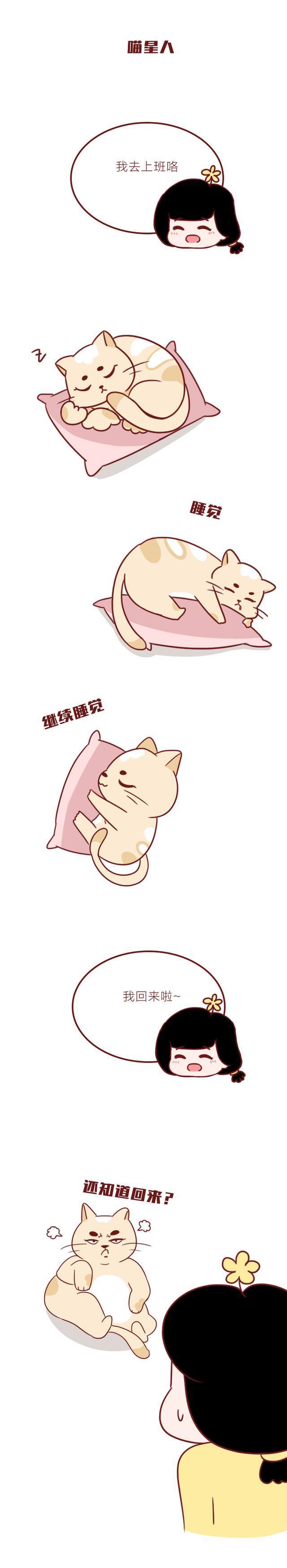 超可爱的漫画：养狗vs养猫，差别太大，已笑喷！