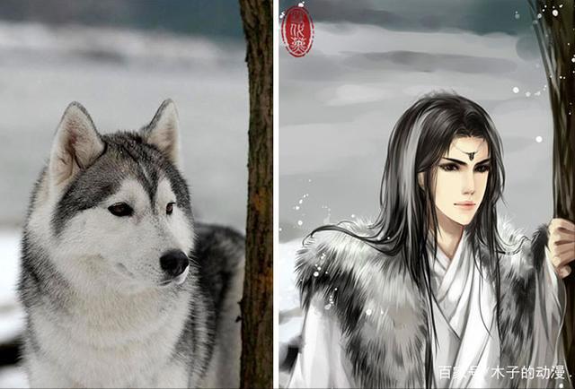 养狗还是养猫，当她把猫和狗用漫画的形式画成人像时，我迷惑了